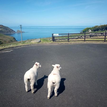 Wild Atlantic View Inishowen グリーンキャッスル エクステリア 写真